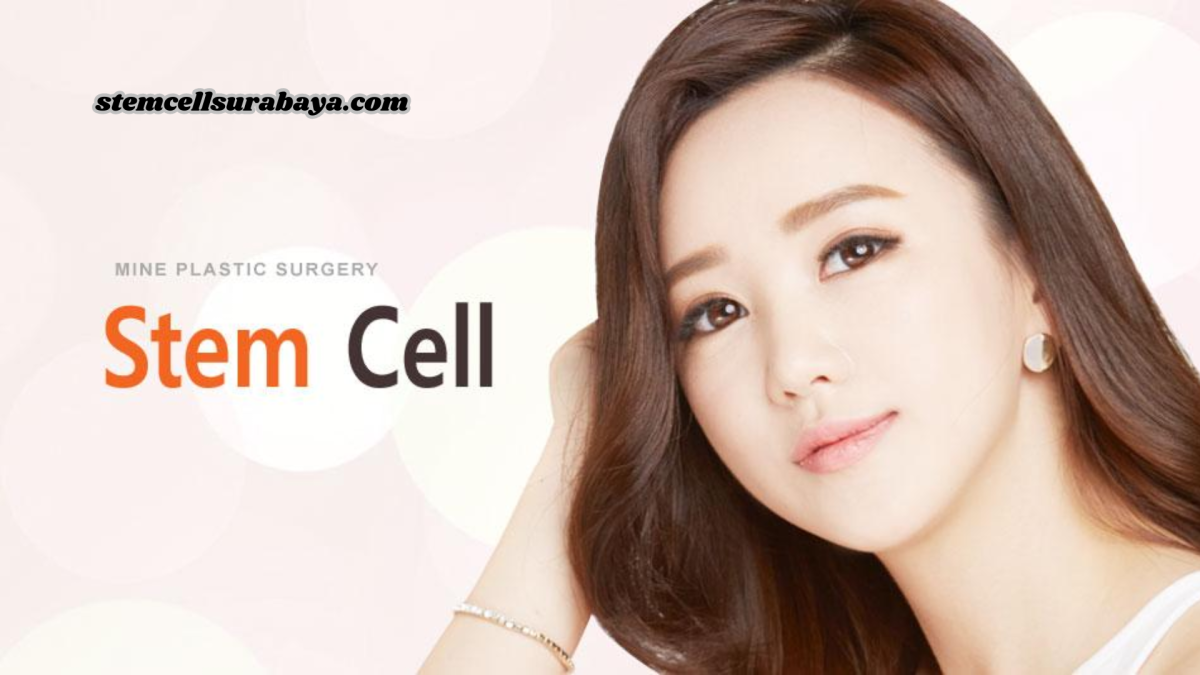 Teknologi Stem Cell di Korea: Penelitian dan Aplikasinya