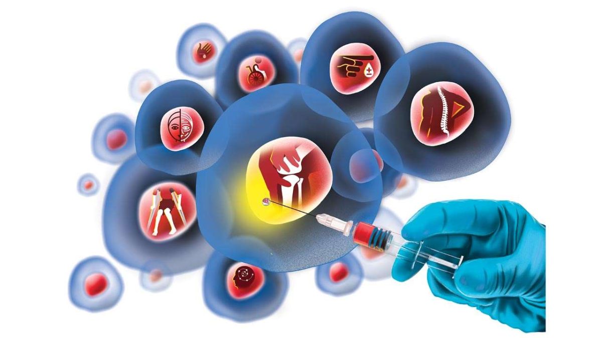 Masa Depan Terapi Stem Cell: Revolusi Pengobatan Regeneratif